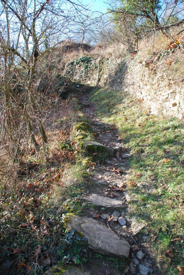 Paradiesisch Wohnen - Loreley Sankt Goarshausen Exterior foto